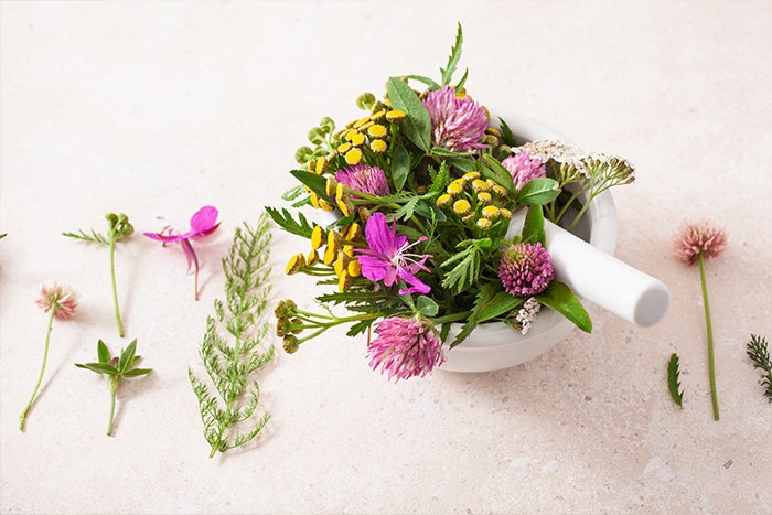 Women's Empowerment Coach in Atlanta, GA Growing and crafting Fresh Herbs for Wellness Teas and Products to balance your mind, body and vaginal health